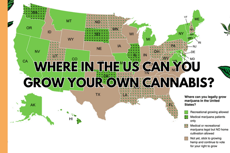 Where can you grow your own cannabis?